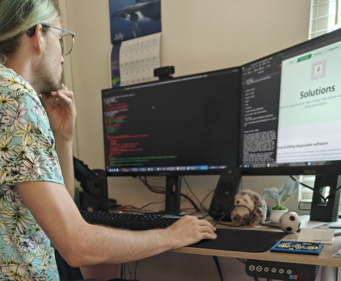 Professional software development solutions